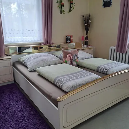 Fuer 7 Personen 68 M² Apartman Oberwiesenthal