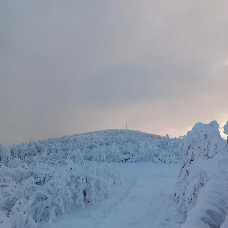 Apartman Fuer 7 Personen 68 M² Oberwiesenthal